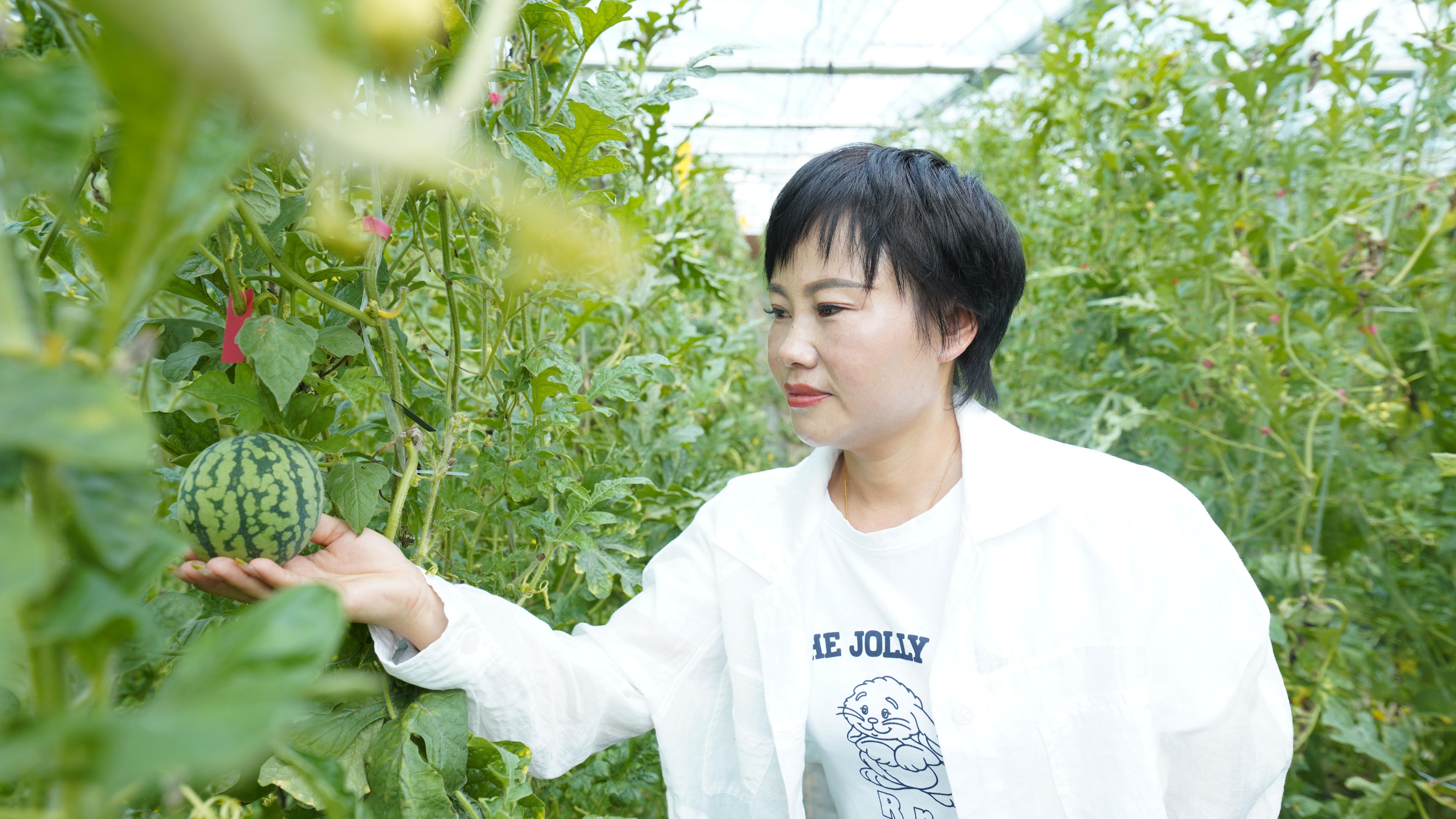 走近土专家|“藜蒿女王”聚焦中高端市场，扎根泥土实现千万年产值