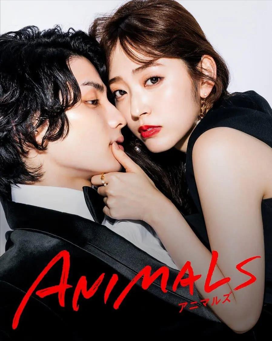 世界杯男足高颜值太太团,日本男足太太团亚洲杯