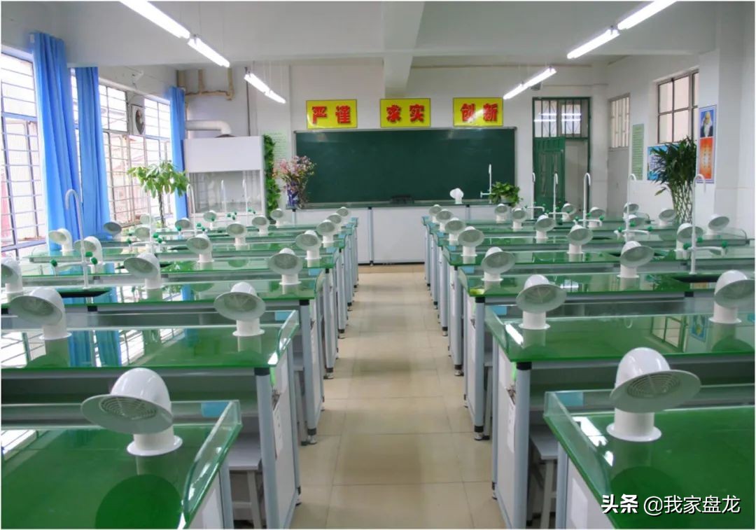 爱打篮球能考什么学校,爱打篮球吗