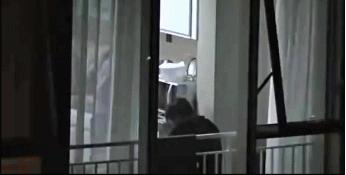 谢霆锋到底是帅还是酷,谢霆锋是真心对王菲吗