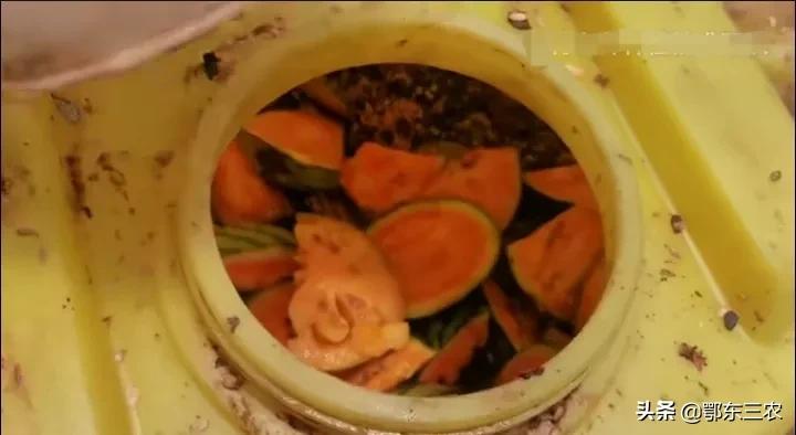 种菜最好的酵素肥,农民自制酵素菌肥