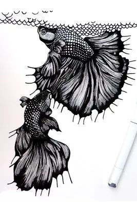 斗鱼米娜跳舞,斗鱼美女舞蹈