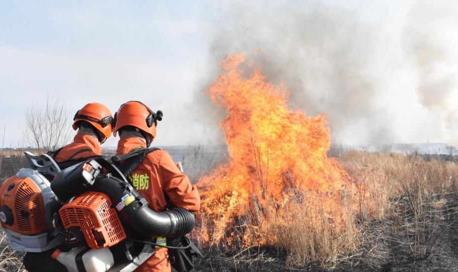 央视播报911,中国911事件全过程视频