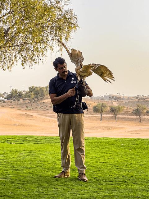 阿联酋丽思卡尔顿,阿联酋野奢帐篷