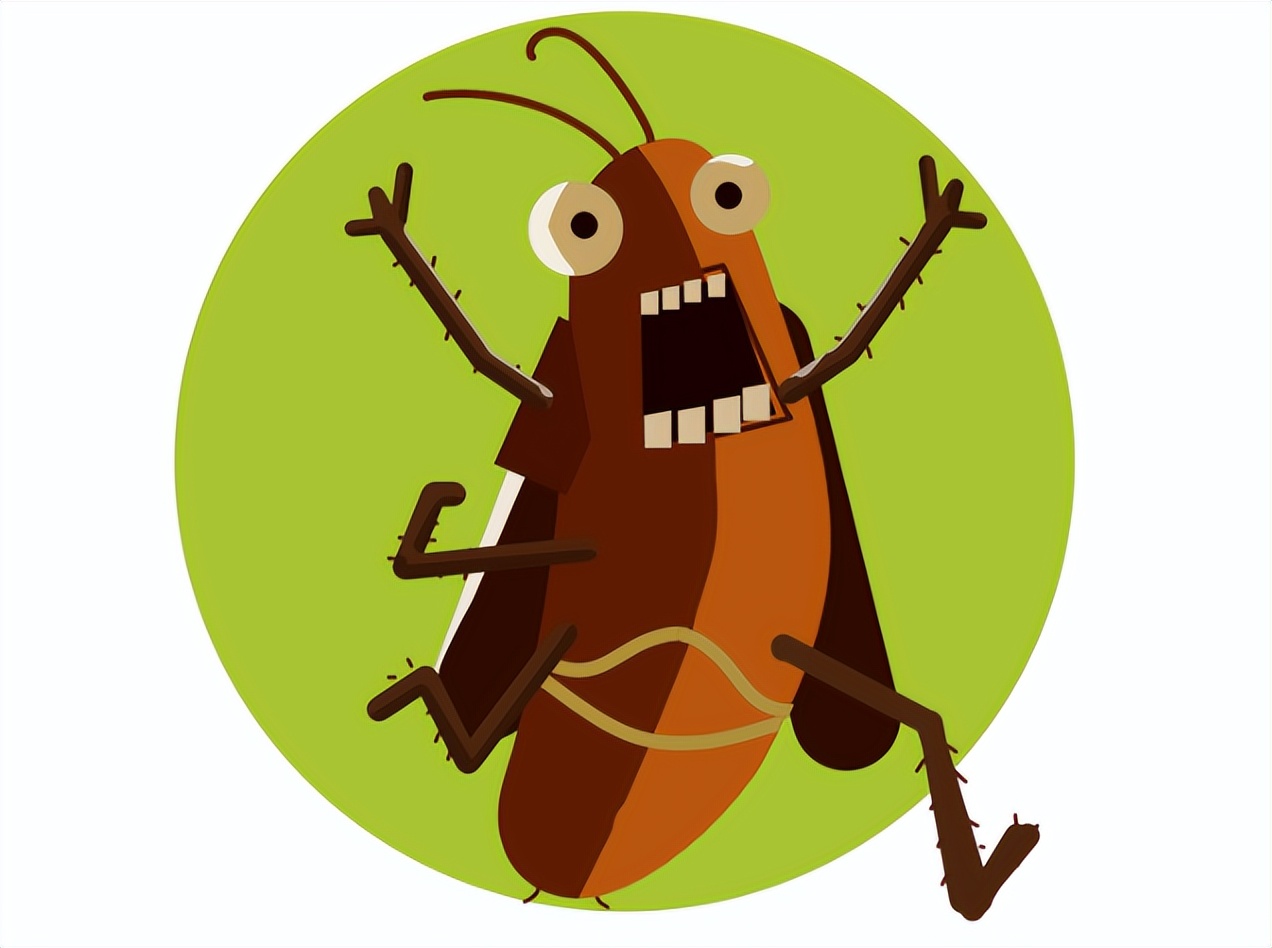 西安家里有蟑螂怎么办,家里怎么根除蟑螂