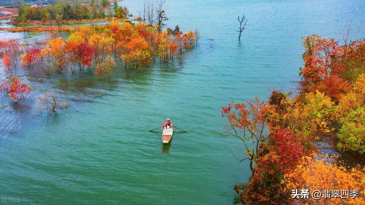女人五十岁怎么做好事,40岁女人如何做好三件事情