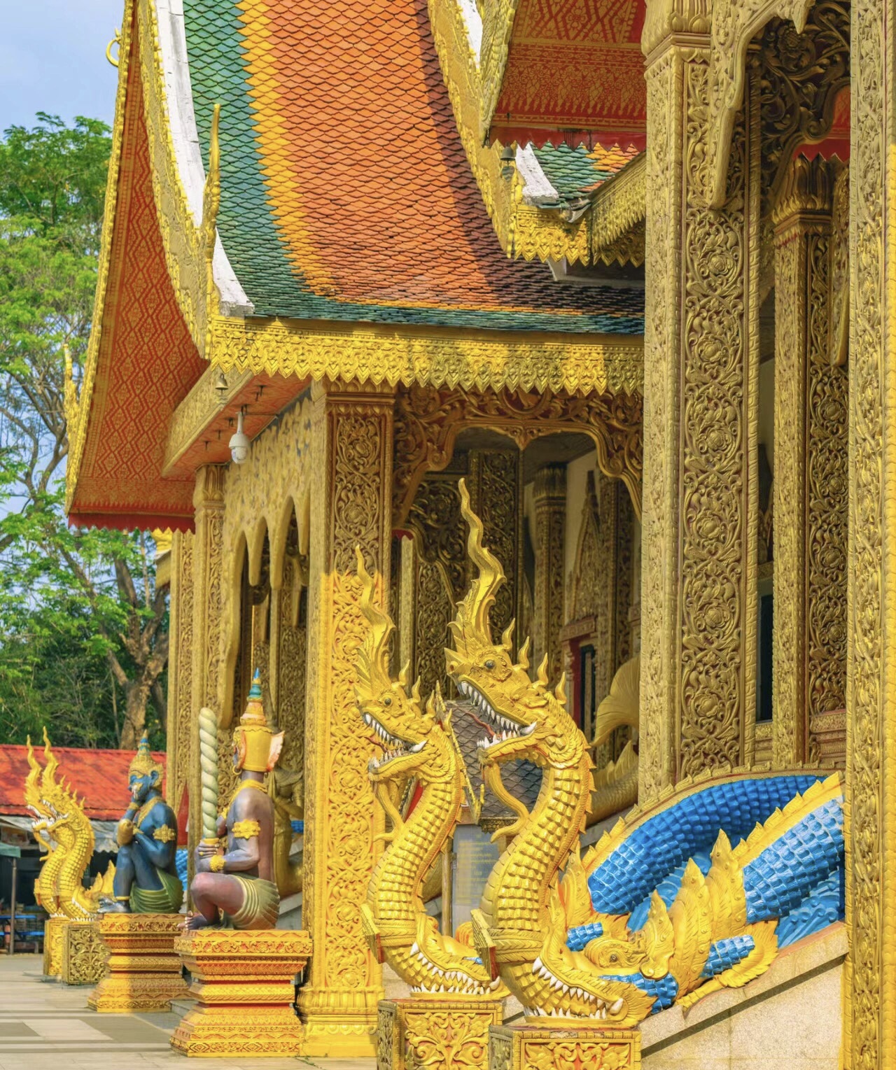 西双版纳旅游很嗨,假期放松之慢游西双版纳