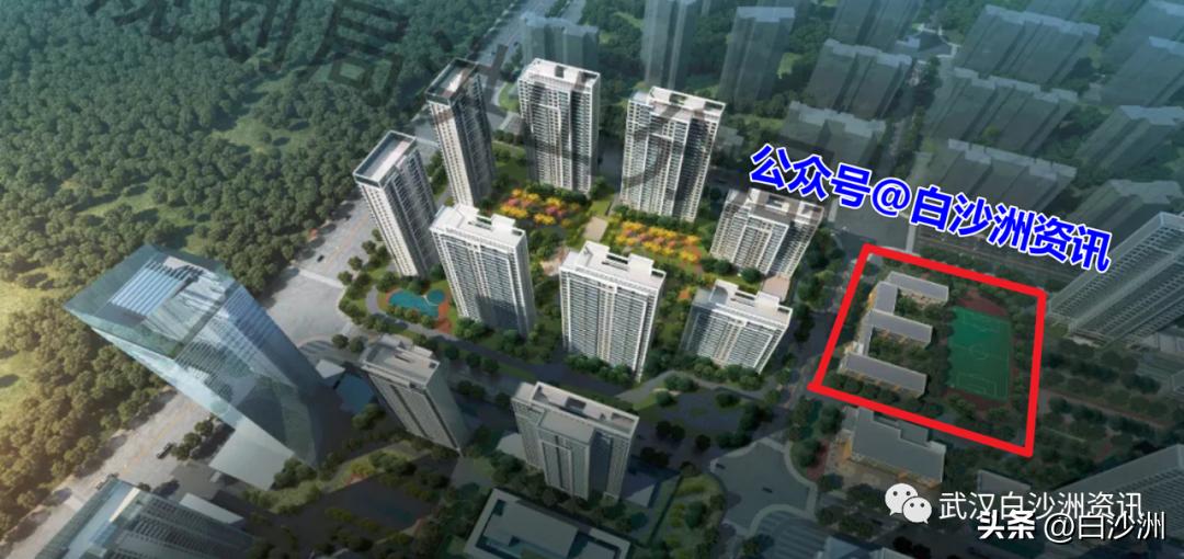 白沙洲小学新消息,白沙洲即将建设的小学