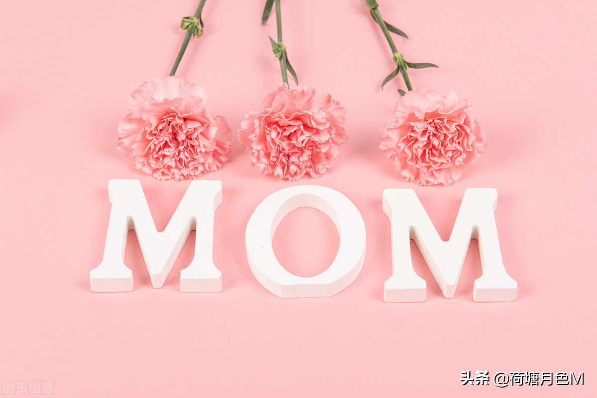 母亲节送给母亲一朵康乃馨,母亲节亲手做一朵康乃馨送给妈妈