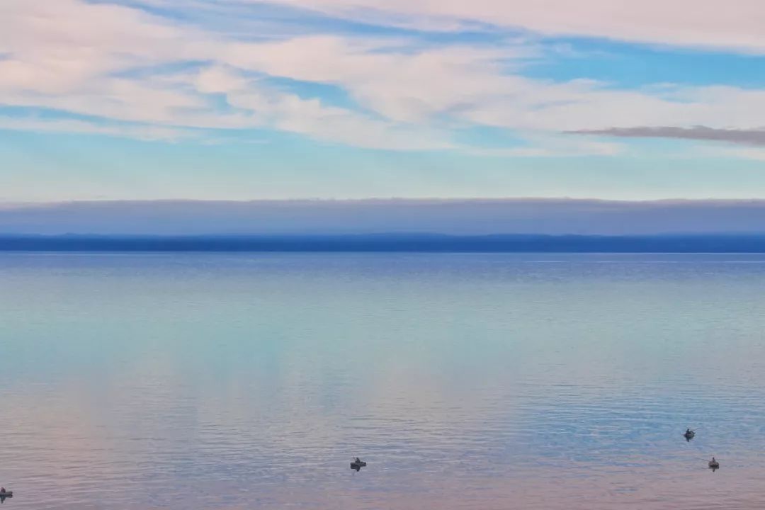 自驾俄罗斯遇到敲诈,自驾俄罗斯被勒索