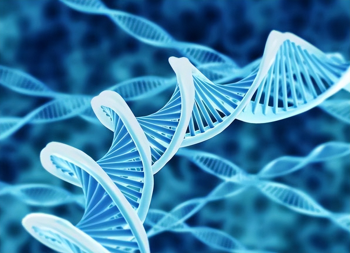 女性*处私**“黑”的原因是什么？