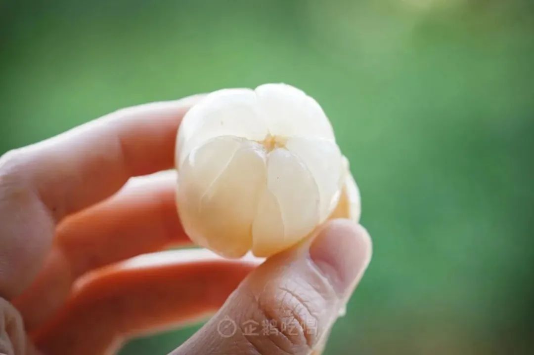 最近新出哪些水果好吃点,十大又贵又不好吃的水果