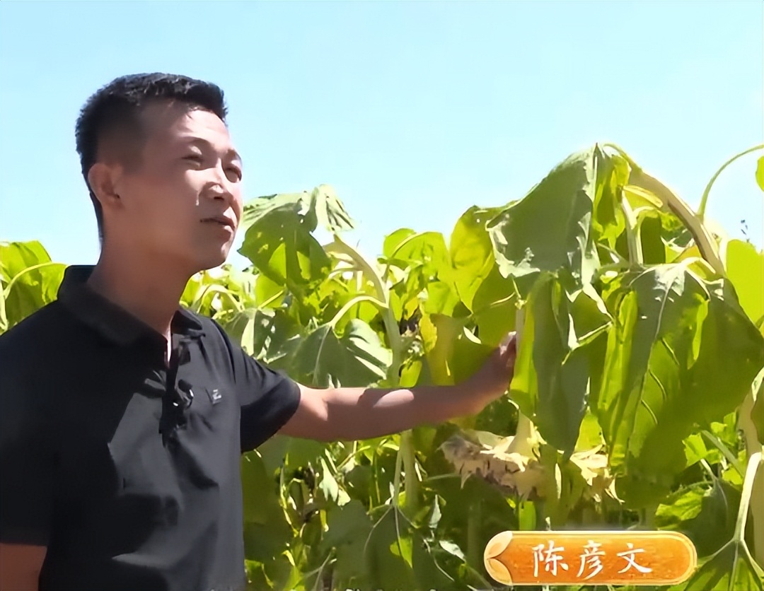 返乡创业养鱼一年要卖五十万,男子回乡养鱼创业年销售额上千万