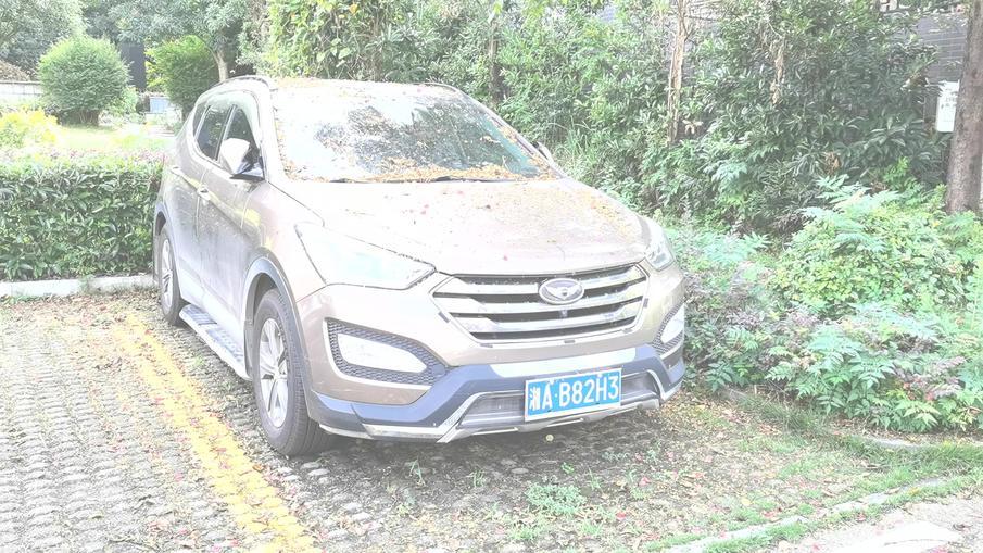 买一年的车车漆就老化,喵哥说车车漆修复