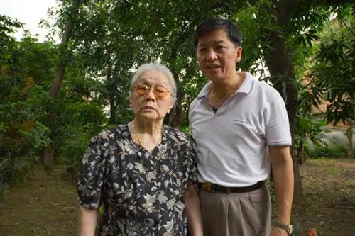 红色太阳花花语和寓意,红色朝阳花