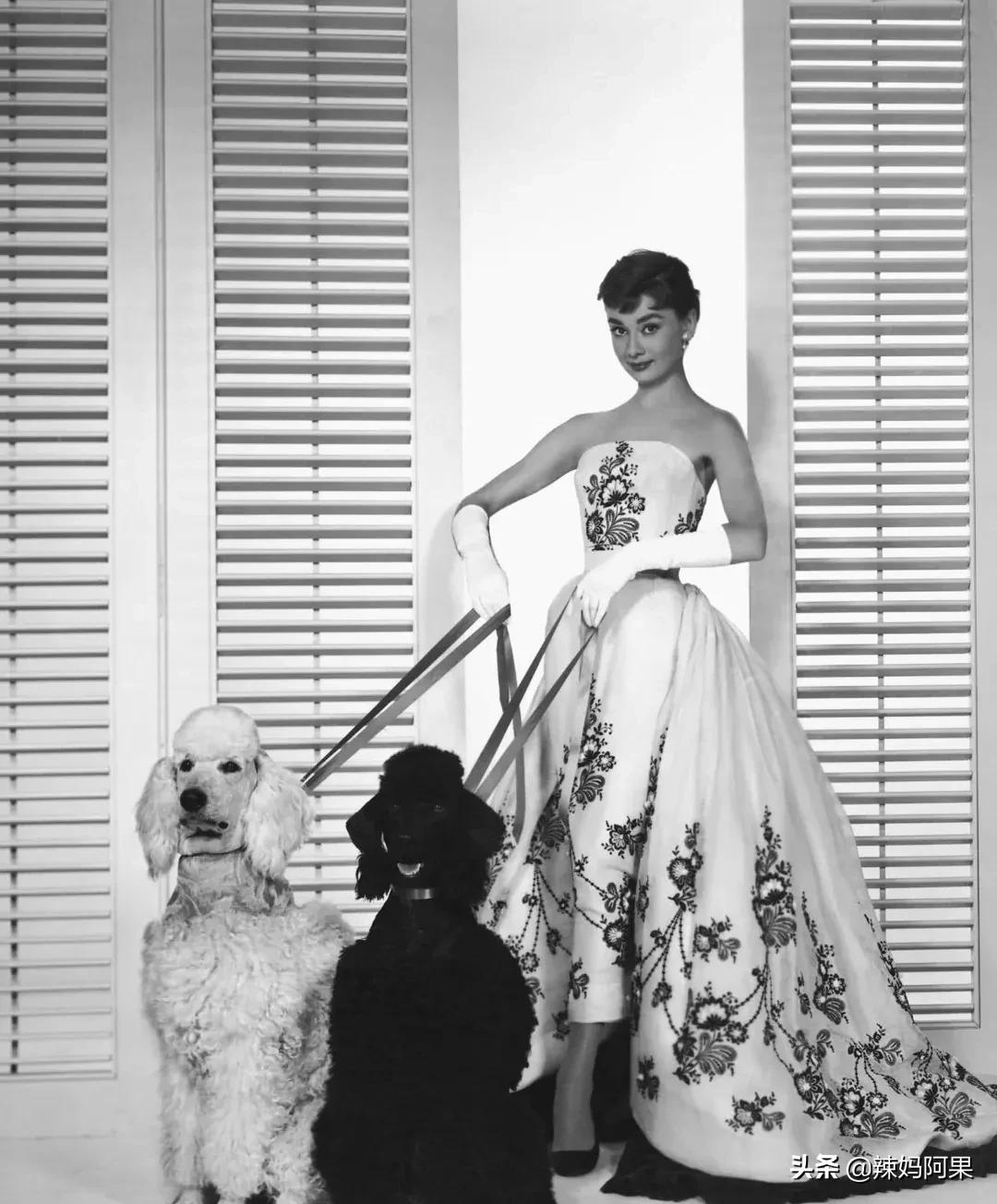 那些今非昔比的绝世容颜,盘点绝世美人