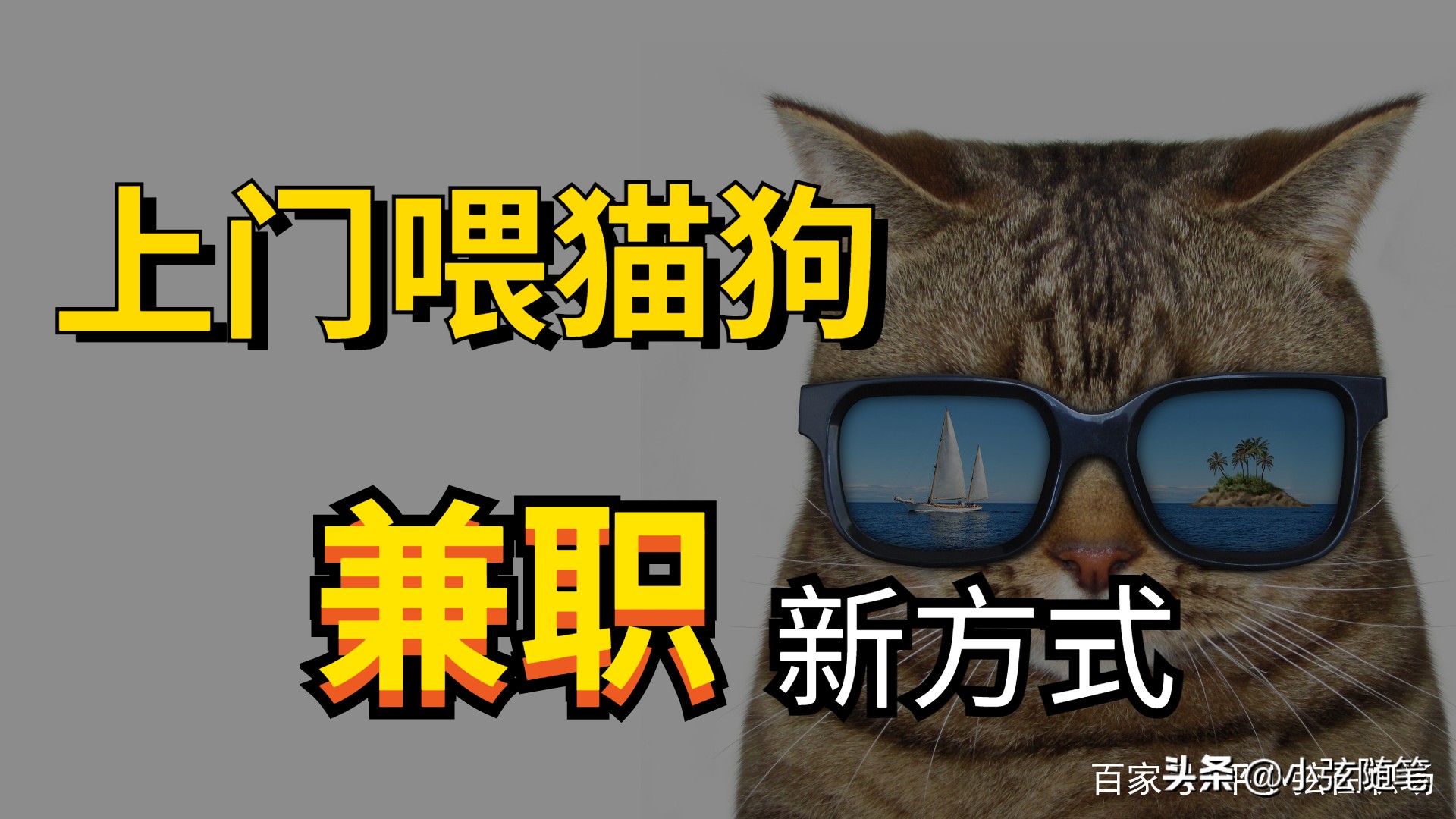 有养宠经验可以开宠物店吗,养猫狗能赚钱吗