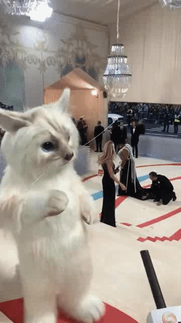 拖把头、海底生化人穿搭，美国这最受瞩目的一夜，如“群魔乱舞”