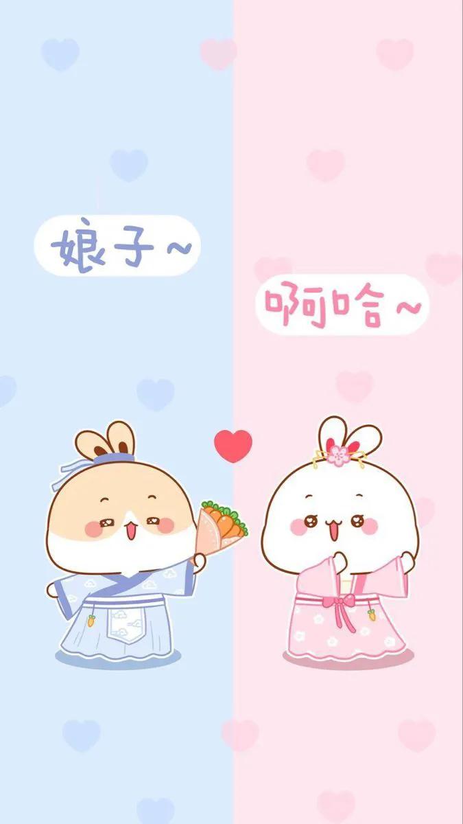 傻乎乎二人组兔兔～日子一般般快乐很简单