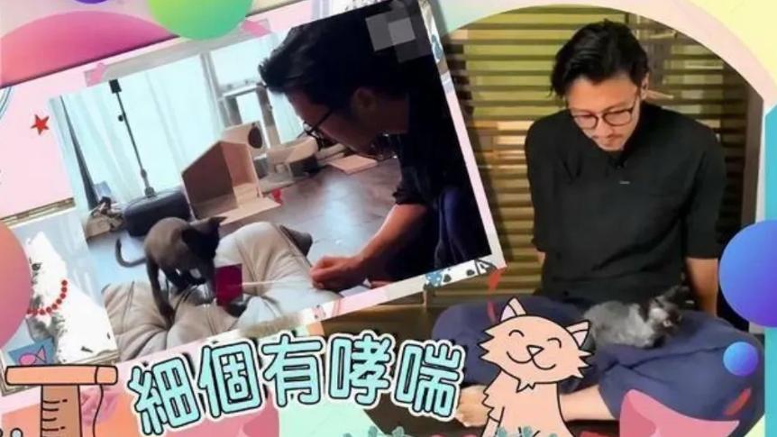 曝王菲和谢霆锋现状,王菲坦言与谢霆锋在一起很甜蜜