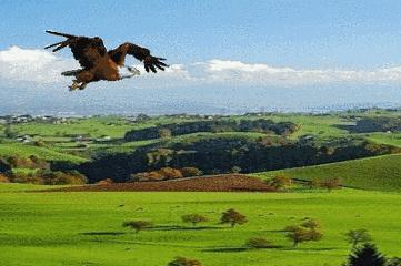 秦岭旅游热线,秦岭频道直播