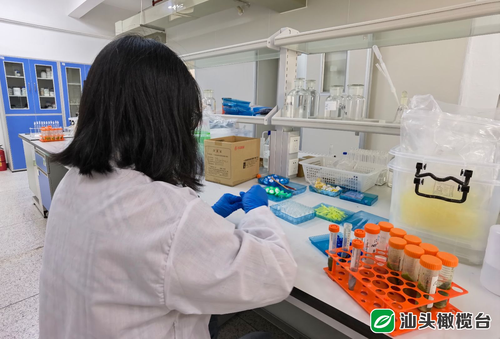 为安全生产提供技术质量保障,为企业降本增效提供坚强保障