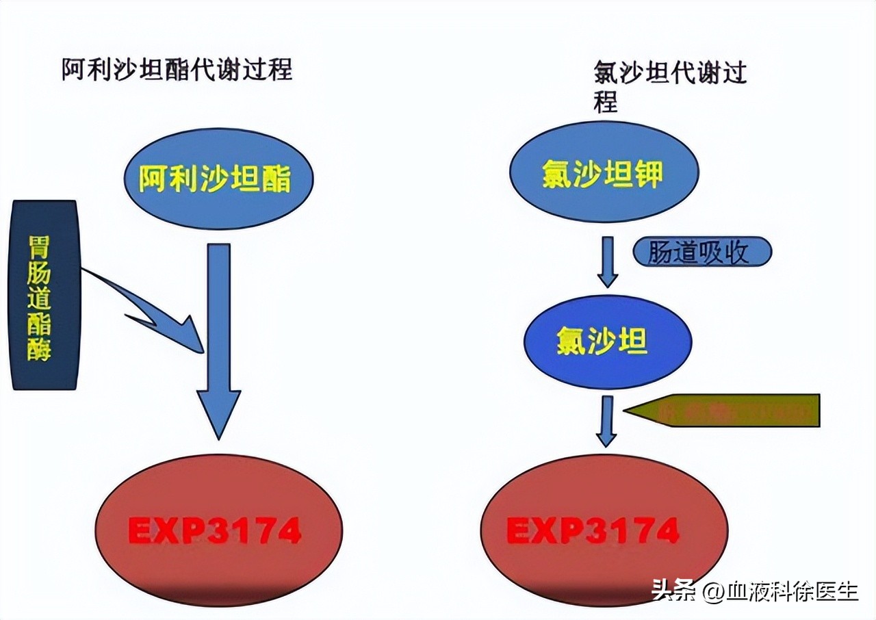 阿利沙坦酯片降压效果怎样,降压药阿利沙坦酯片的副作用