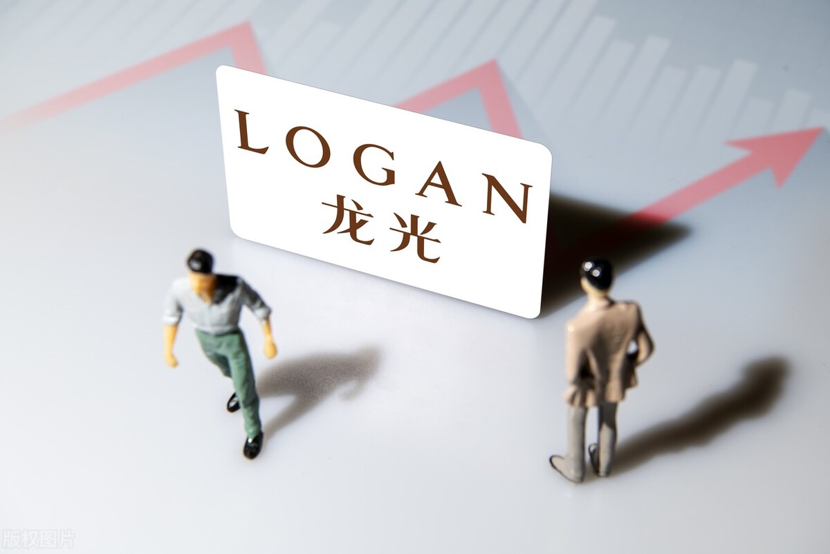 龙光地产背后资金,龙光地产负债多少亿