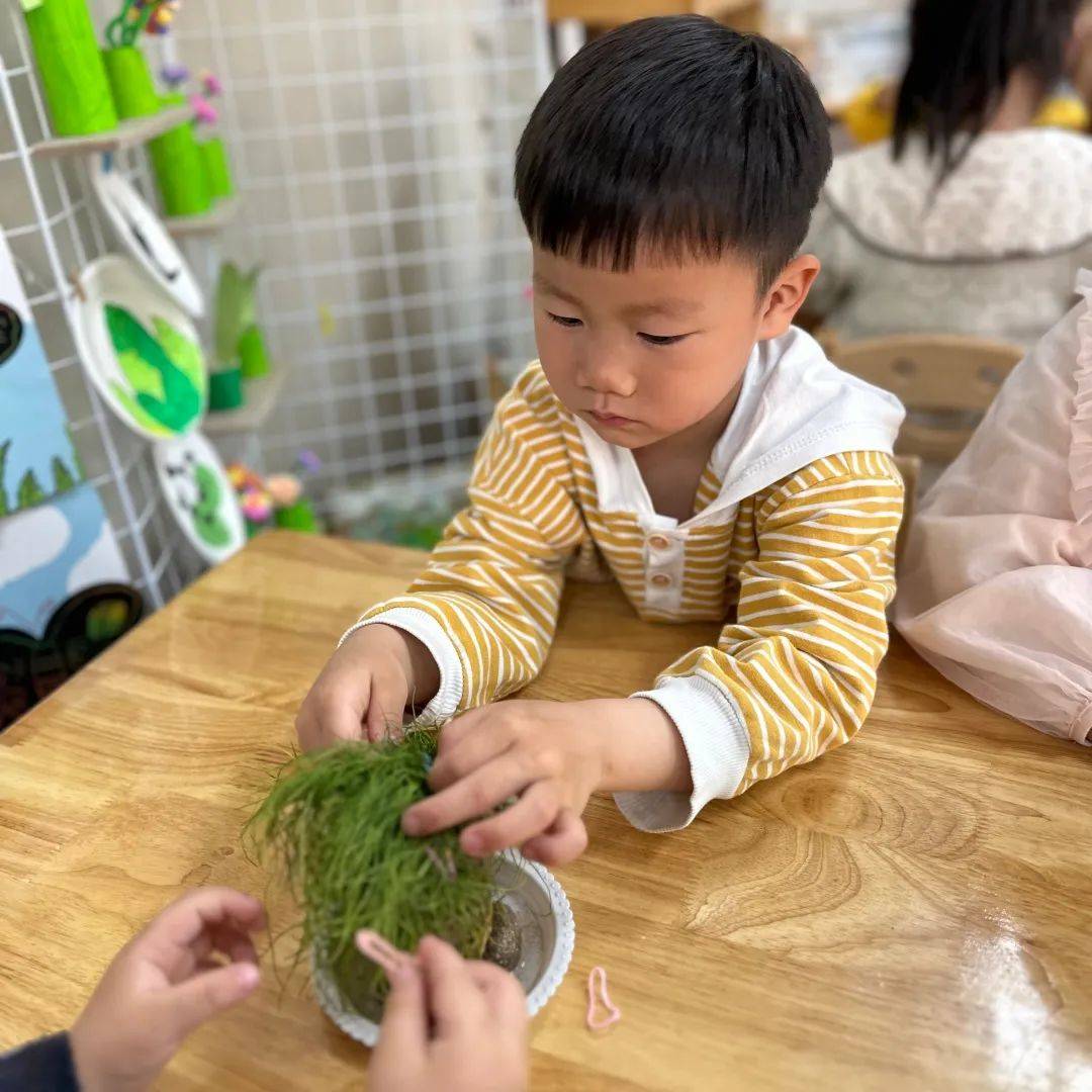 桐乡市庆安乐儿堡幼儿园,浙江省桐乡市庆安乐儿堡幼儿园