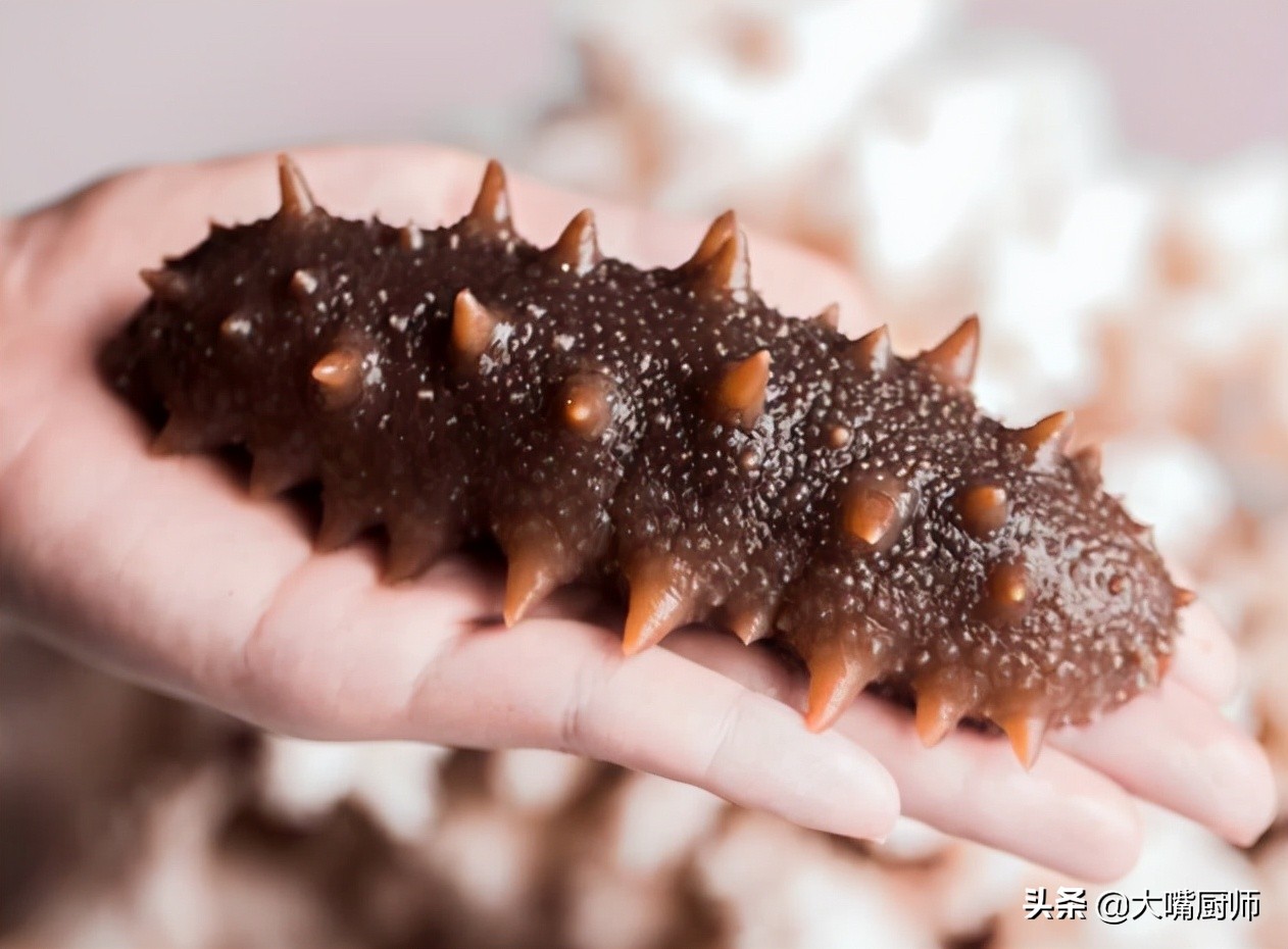 海参凉水泡还是热水泡好,涨发海参时切忌接触什么