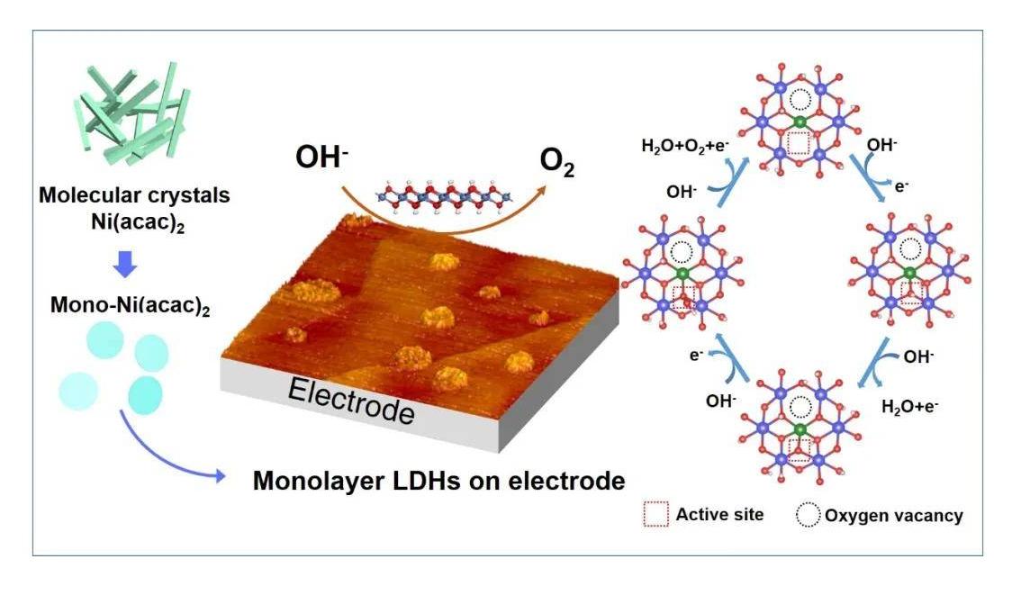 壳聚糖复合物的功效,壳聚糖复合物功效