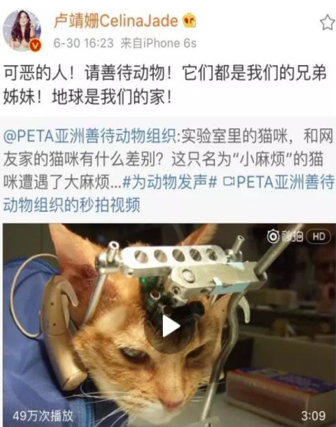 战狼2的女主卢靖姗是韩庚夫人吗,韩庚评价卢靖姗演战狼