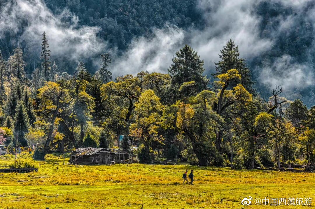 错过了十月的*藏西**，你就错过了这个星球最壮丽的秋色