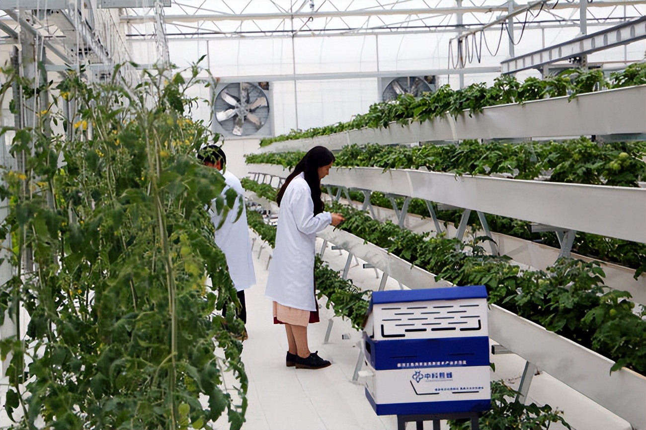 山东盐碱地农业示范基地,山东优质盐碱地改良方法