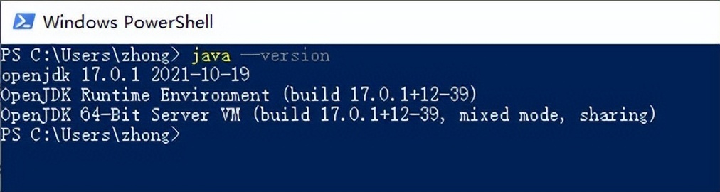 flutter设置开发环境,flutterwindows运行环境