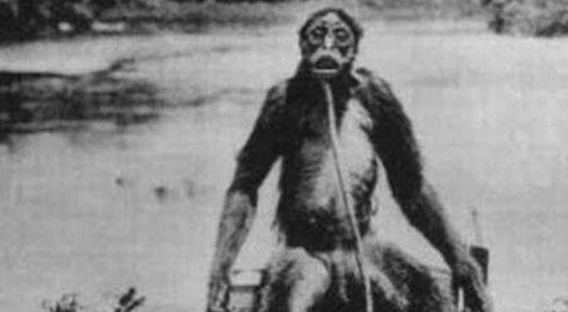 为什么日本人要杂交胚胎实验,日本人的杂交实验成功了吗