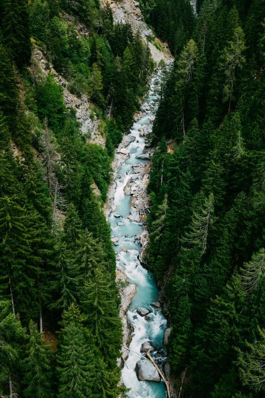 学会克服害怕的情绪,克服恐惧的办法就是战胜恐惧原版