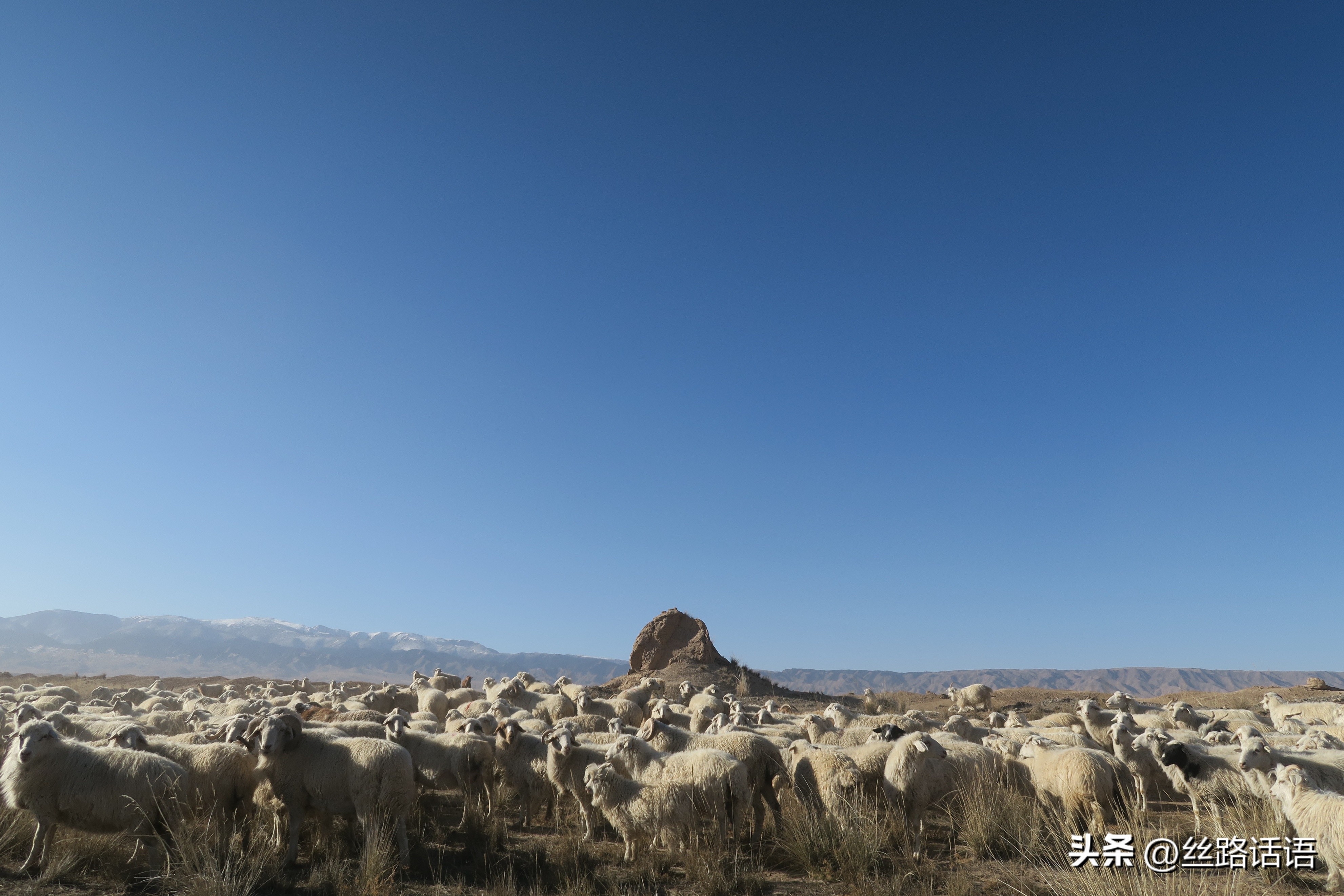 山丹汉明长城是万里长城吗,山丹汉明古长城遗址
