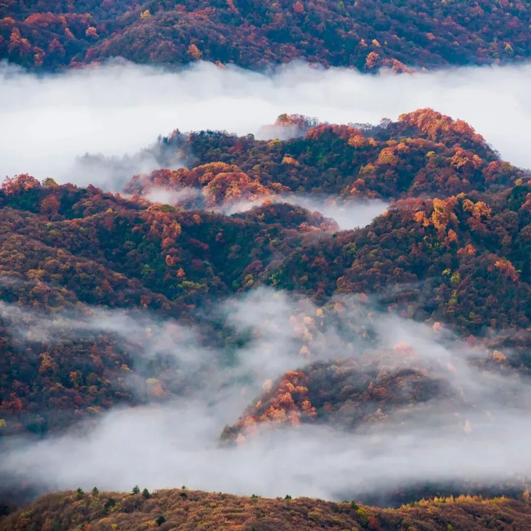 四川光雾山风景视频,光雾山旅游景区
