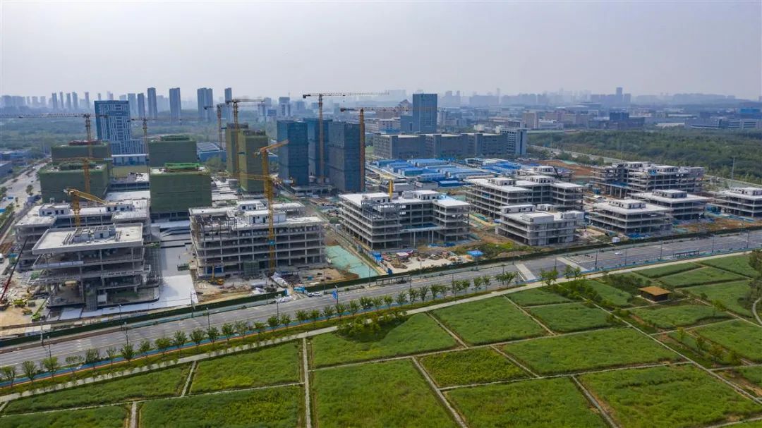 小米辟谣买汽车送京牌,小米辟谣裁员传闻