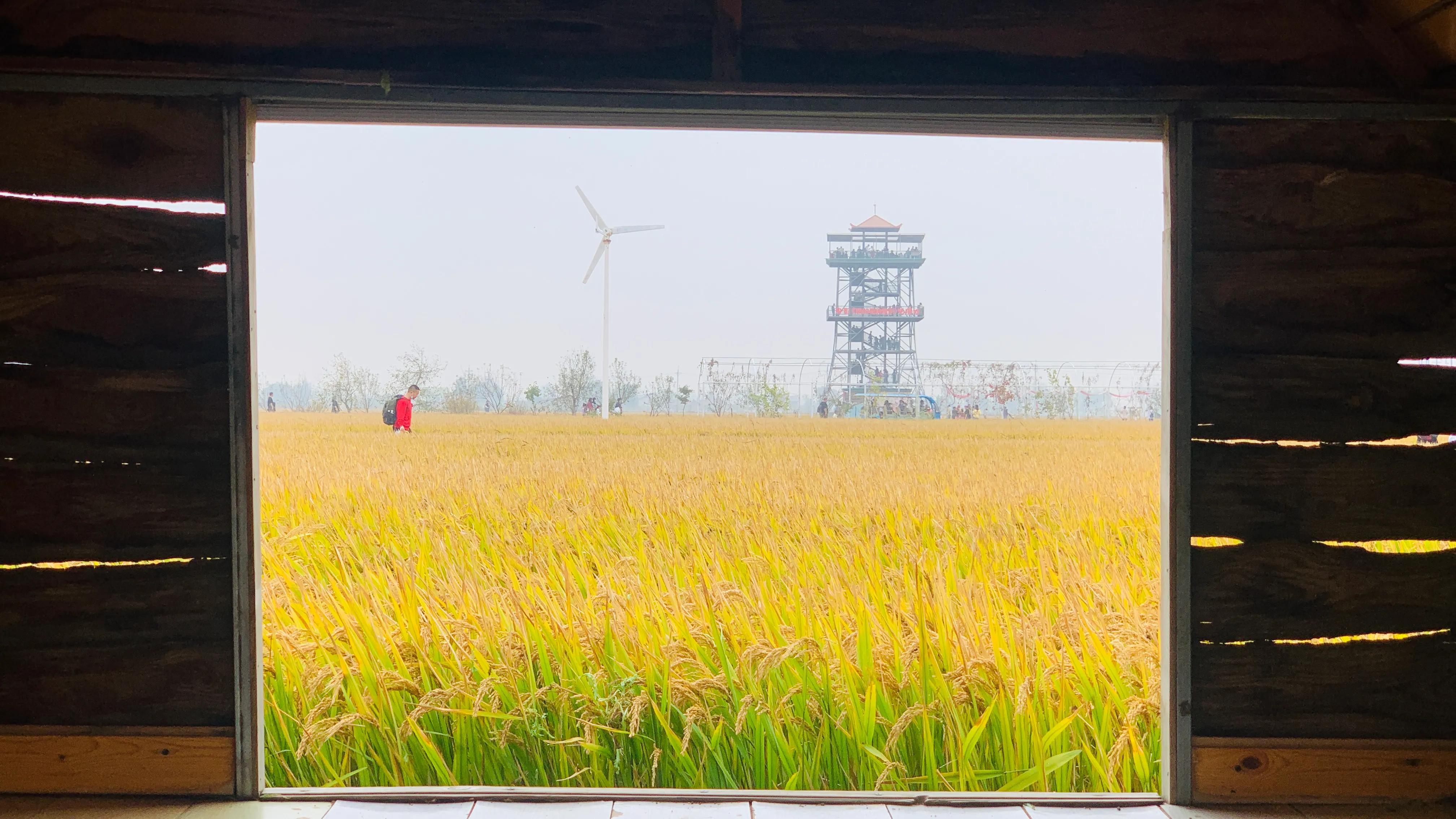 沈阳旅游景点稻梦空间,沈阳稻梦空间一日游攻略