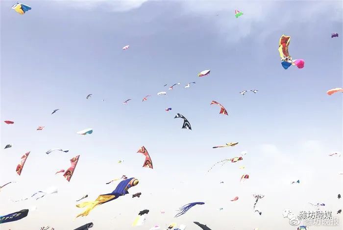 潍坊风筝会大咖云集开幕,潍坊风筝会开幕晚会