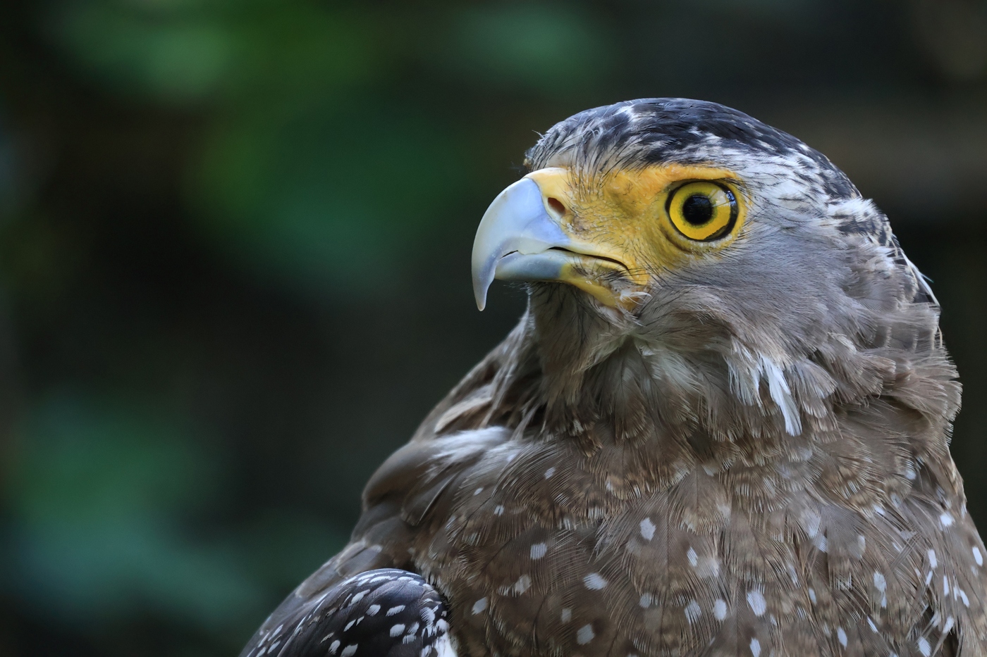 佳能r5018-45mm镜头测评,后疫情时代的旅游