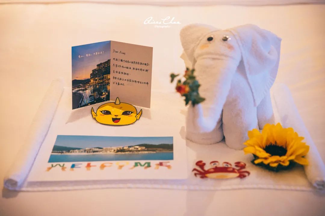 快乐再出发在万宁住的酒店,快乐再出发酒店套房