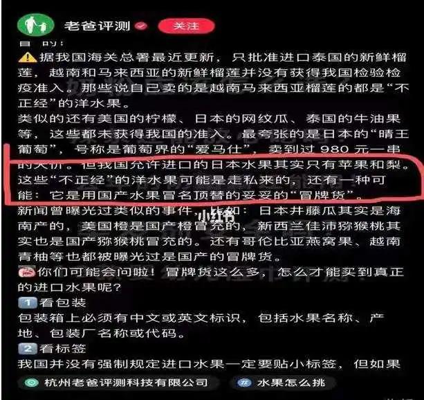 吃最贵的日本草莓,你吃过吗150元一斤的菠萝味草莓