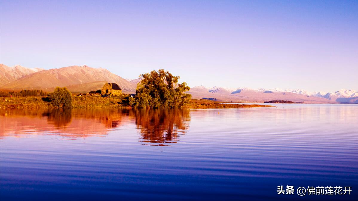 春嫂电影解说,春嫂美食