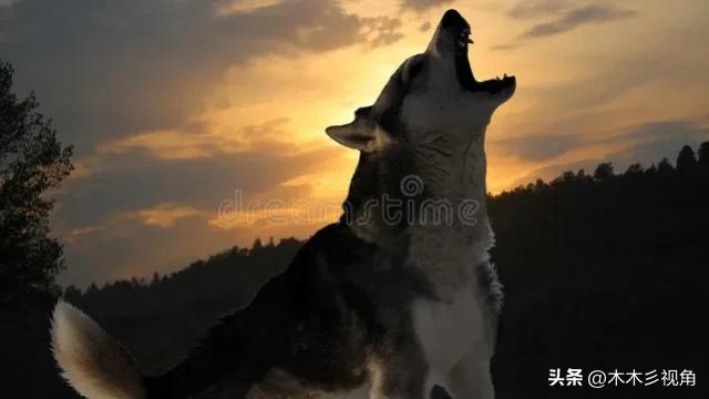 看透其初心，也就看清了莫言们的居心…