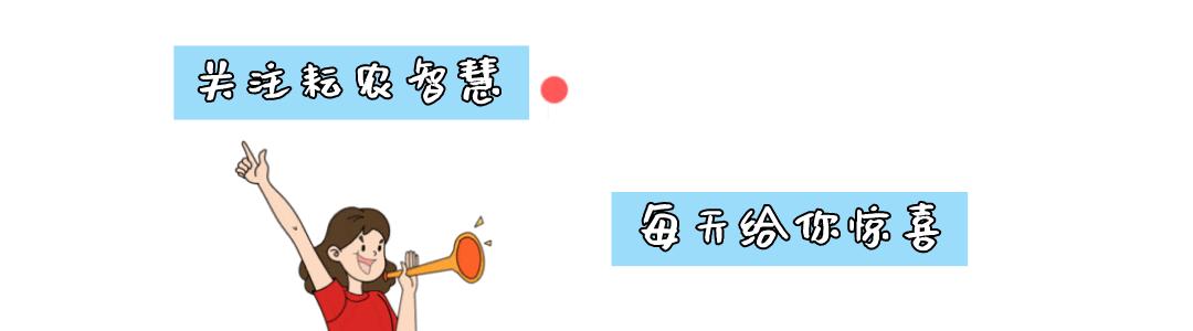 邯郸市耕农智慧农业科技,耘农智慧农业