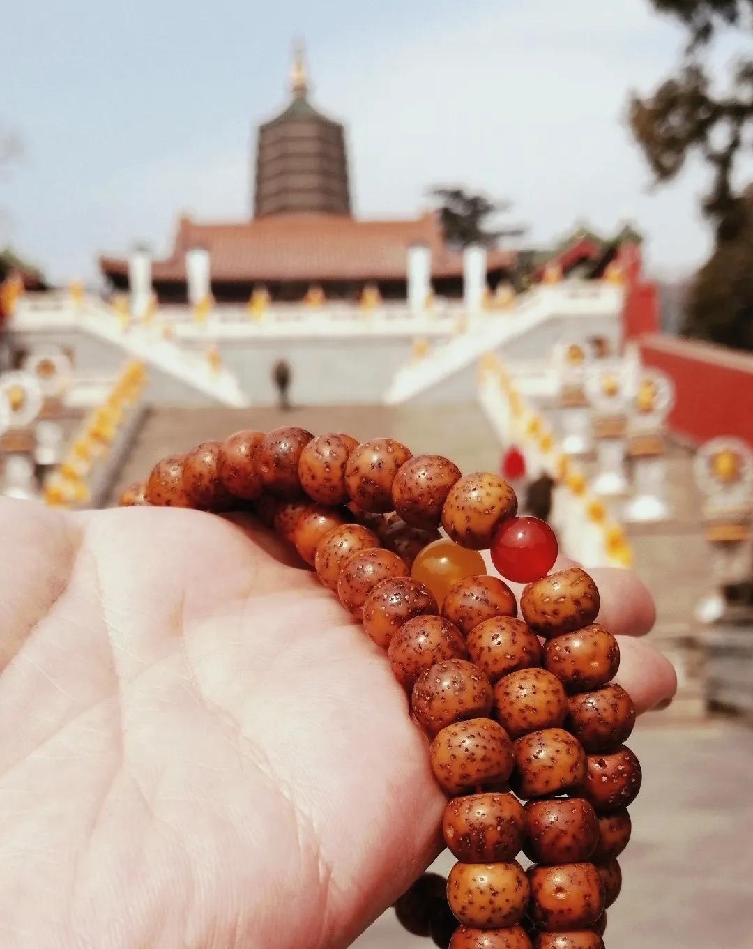 读经学诗,读诗读书读经