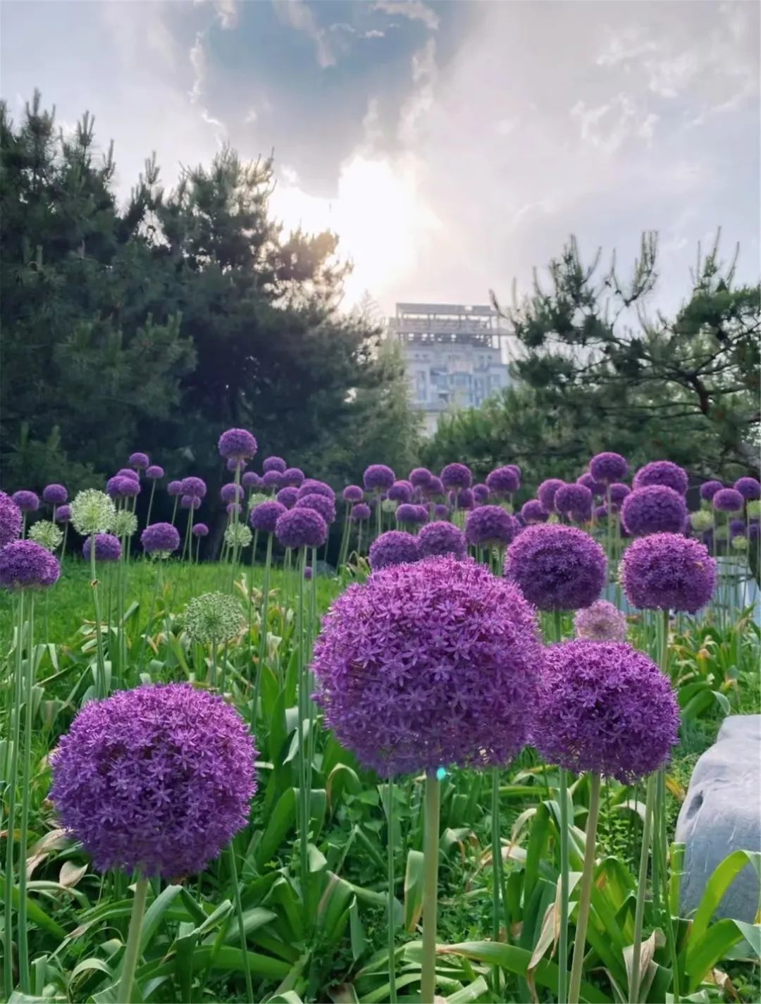 海淀旅游必去十大景点推荐,海淀区旅游免费景点推荐